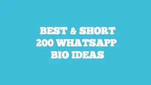 whatsapp bio ideas