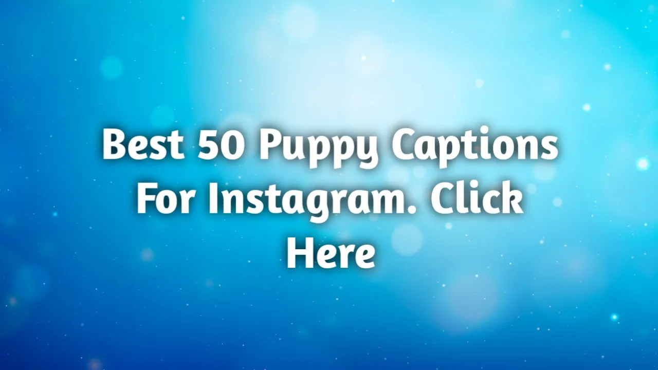 puppy captions for instagram