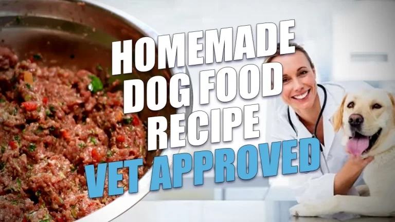 Best 5 homemade dog treats recipes vet approved