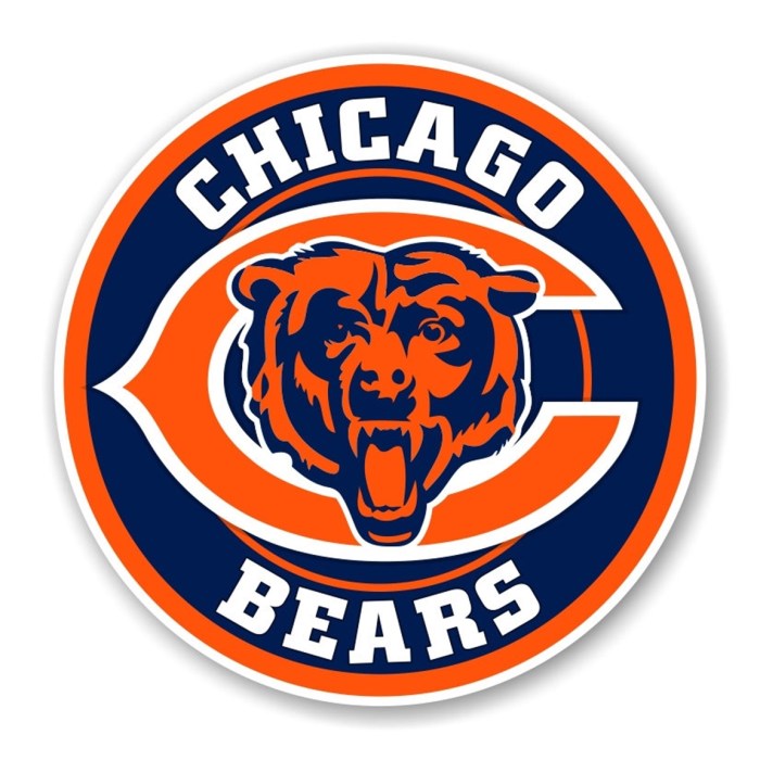 Chicago bears wall decor