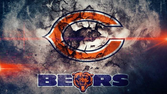 Chicago bears wall decor