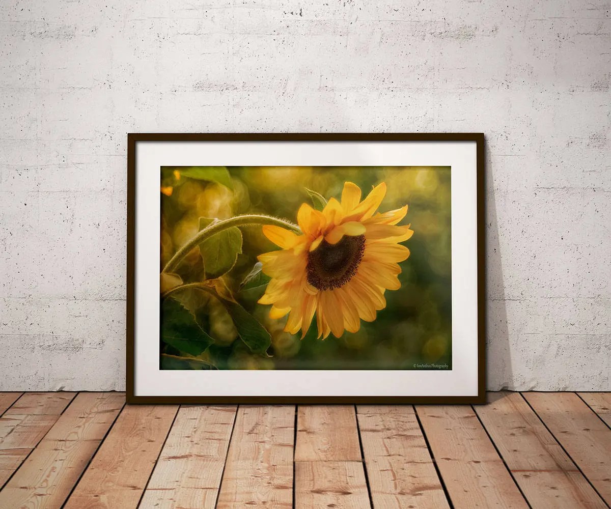 Sunflower Kitchen Wall Decor Brighten Your Space