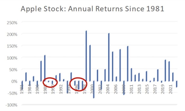 Apple computer stock price