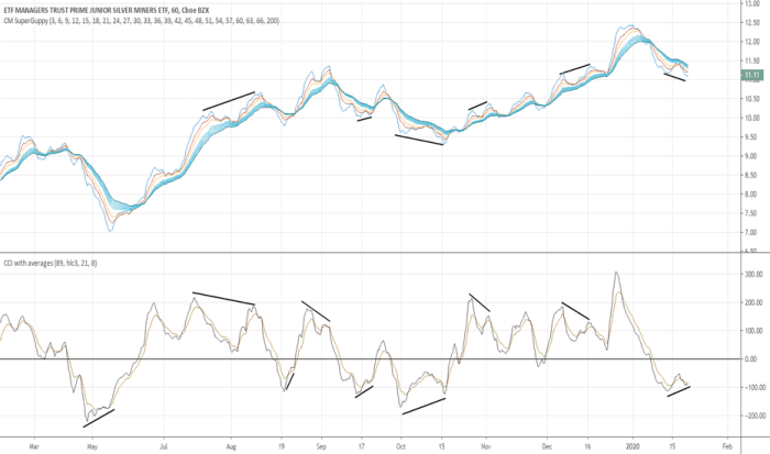 SILJ Stock Price A Comprehensive Analysis