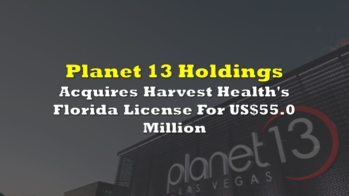 Planet 13 Stock Price A Comprehensive Analysis