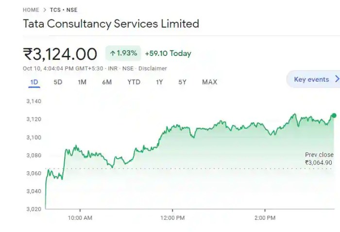 Tcs stock price