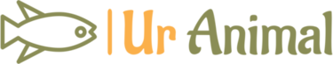 Online Shop